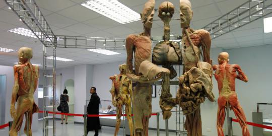 Pameran tubuh manusia