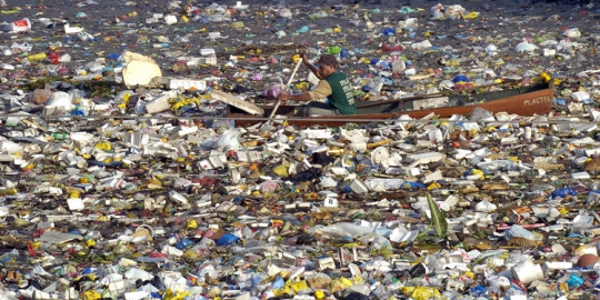 garbage patch
