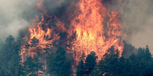 Acara bersih Gunung Slamet berakhir kebakaran hutan
