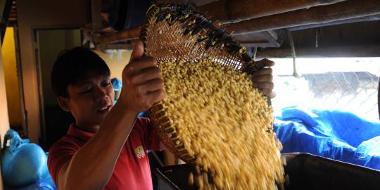 Pembebasan bea masuk impor kedelai tidak rugikan petani