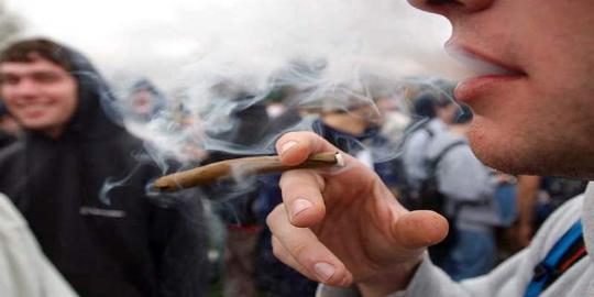 Marijuana bagus digunakan oleh orang berusia di atas 18 tahun?