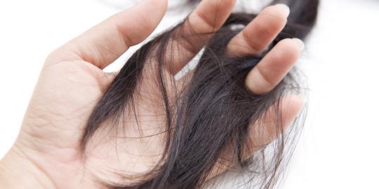 5 Cara alami untuk cegah rambut rontok