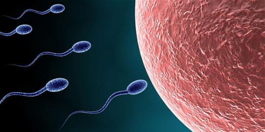 Ilmuwan berusaha ciptakan sperma dari sel kulit