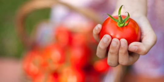 Makanan organik, lebih mahal namun tak lebih bernutrisi