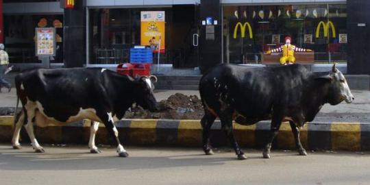 McDonalds bikin resto vegetarian pertama sejagat