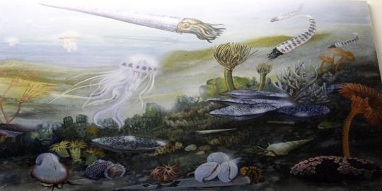 10 Makhluk Hidup Tertua Yang Masih Hidup Merdeka Com