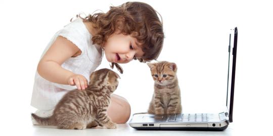10 Cara merawat kucing untuk pemula  merdeka.com