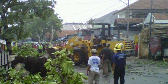 Angin kencang robohkan pohon raksasa di Bandung