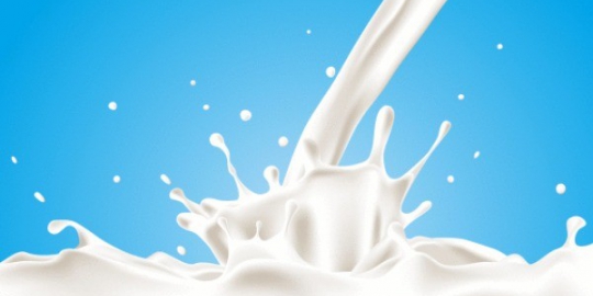 5 sumber vitamin b12 bagi vegetarian