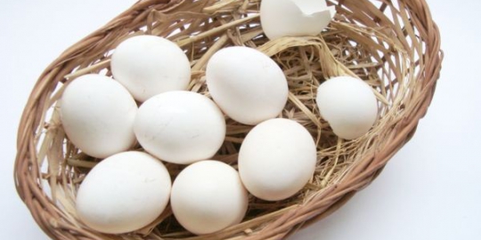 5 sumber vitamin b12 bagi vegetarian