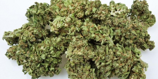 7 barang aneh yang pernah tertinggal di hotel