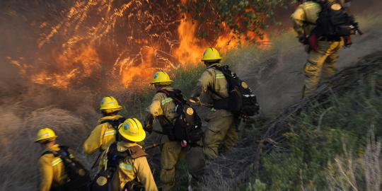 7,5 Ha hutan di kawasan Gunung Andong terbakar