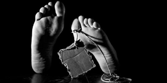Polisi ungkap misteri pembunuhan tiga pedagang tokek 