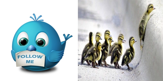 12 kata biasa di dunia nyata namun populer di dunia maya