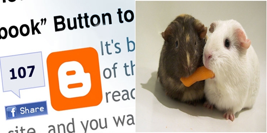 12 kata biasa di dunia nyata namun populer di dunia maya