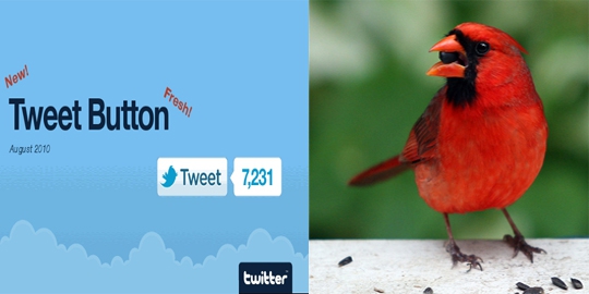 12 kata biasa di dunia nyata namun populer di dunia maya