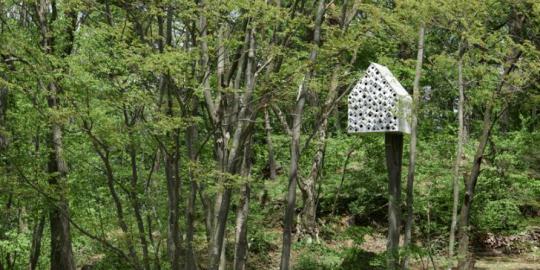 Ada apartemen untuk burung di Jepang!