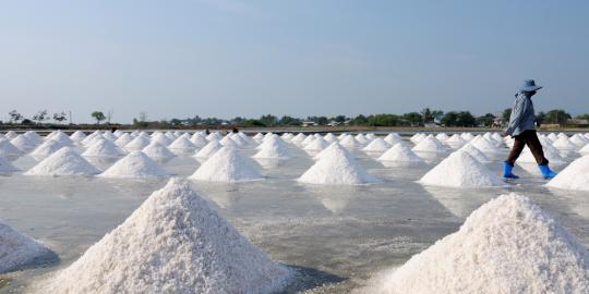 Ribuan ton garam petani tidak terserap