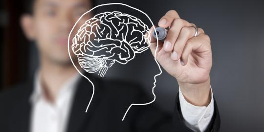 Ilmuwan membuat peta otak 