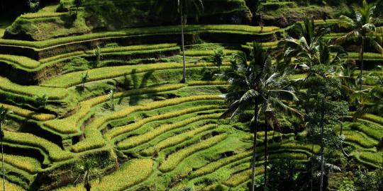 Bali akan punya dua jalan layang