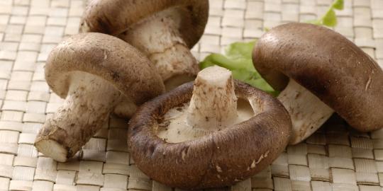 6 Alasan penting Anda harus makan jamur