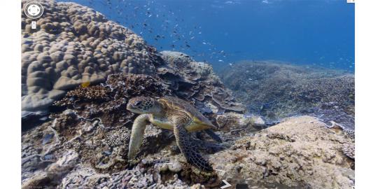 Google Maps bawa Anda ke bawah laut gratis