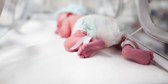 Warga Pesanggrahan dihebohkan penemuan bayi berusia 2 bulan
