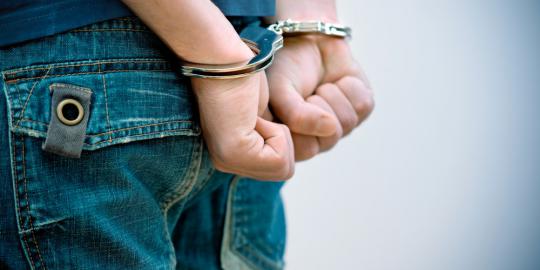 WN Belanda ditangkap karena cabuli empat anak di bawah umur