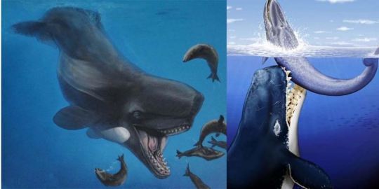 5 Monster Laut Pra Sejarah Merdeka Com