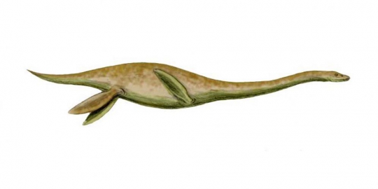 5 monster laut pra-sejarah