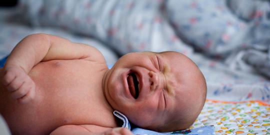 Bayi ditemukan di tong sampah dekat rumah Mahfud MD