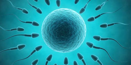 Peneliti temukan cara hentikan sperma berenang