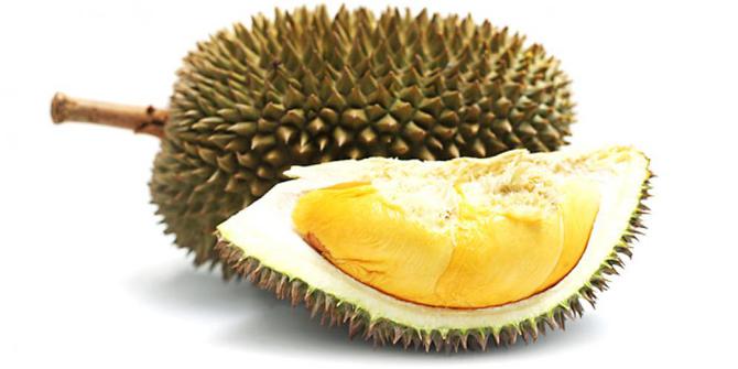 10 Khasiat penting dari buah  durian  merdeka com