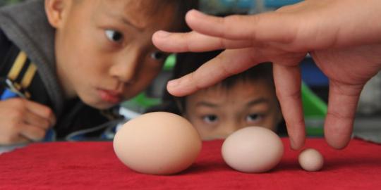 Telur ayam terkecil sejagat ditemukan di China