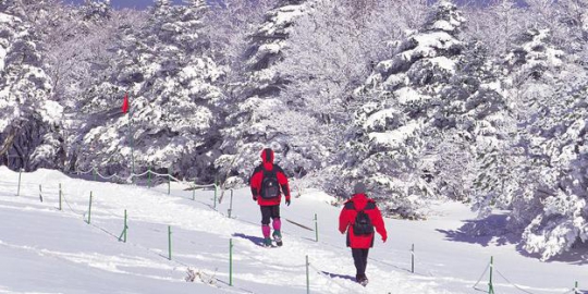 7 tempat mendaki paling terkenal di korea 