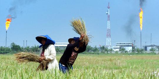 Gus Ipul curhat ke Hatta banyak sawah jadi pabrik