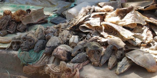 market lome togo