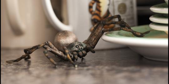 Kue tarantula yang tampak nyata, berani memakannya?