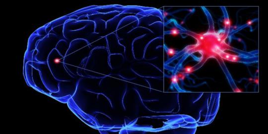 Dopamin mampu kuatkan ingatan