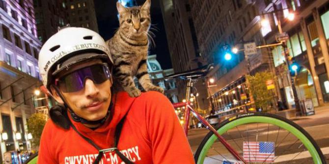 hewan surat jalan ini surat kucing Wow, Philadelphia mengantar keliling ikut