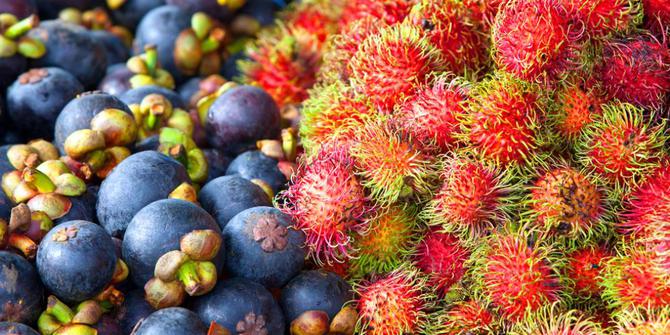 Unduh 9600 Gambar Durian Dan Rambutan Paling Bagus Gratis