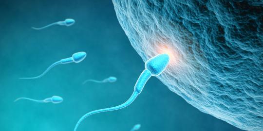11 Hal yang membuat jumlah sperma menurun