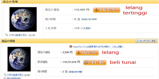barang dan 'barang' aneh yang pernah dilelang secara online