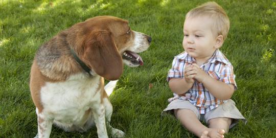 Video lucu bayi dan anjing berkomunikasi | merdeka.com