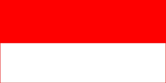 pengguna internet indonesia lebih banyak daripada inggris