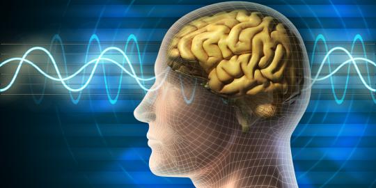 Bisakah implan otak selamatkan pasien Alzheimer?
