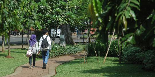 Jokowi pantau perbaikan Taman Kodok