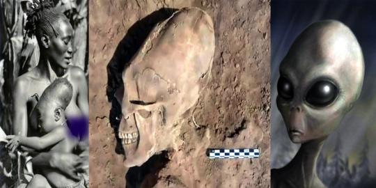 Arkeolog temukan tengkorak mirip alien