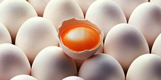 Makan telur dalam jumlah banyak berbahaya