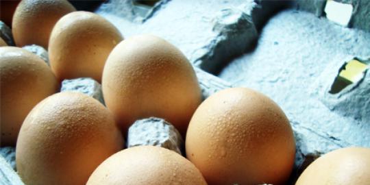 Alasan ilmiah kenapa tidak dianjurkan makan telur berlebihan